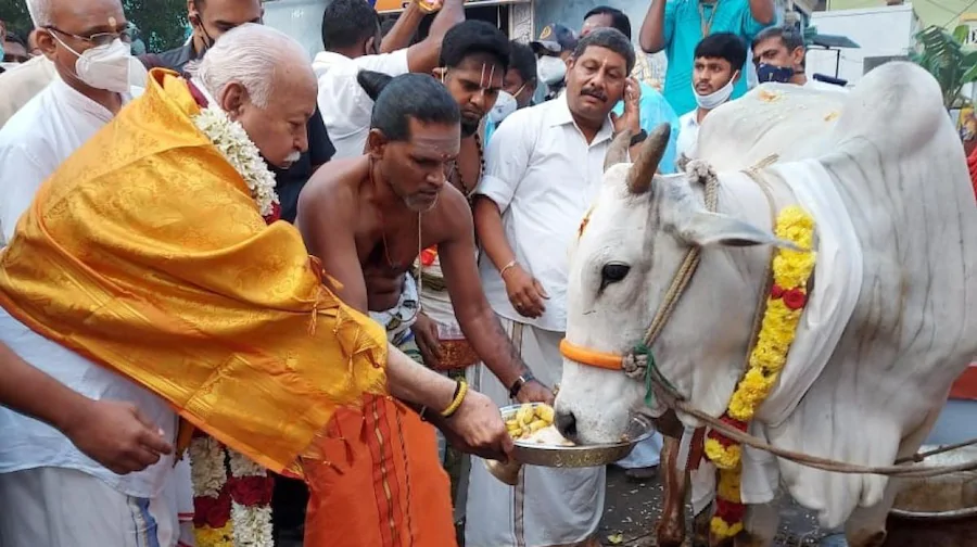 Pongal festival