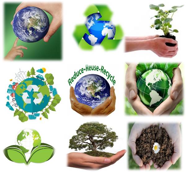 World Environment Day 2021